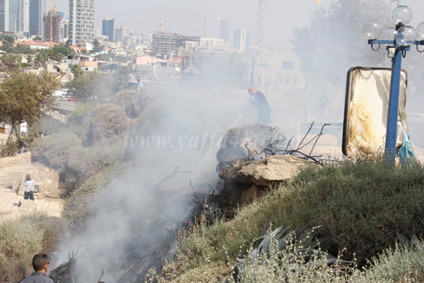 fire 7orsh js (1).JPG